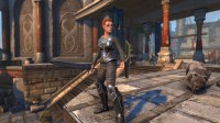 ddmsrealm-neverwinter-guardian-fight-stance