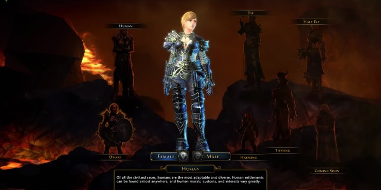 Neverwinter PC game Review